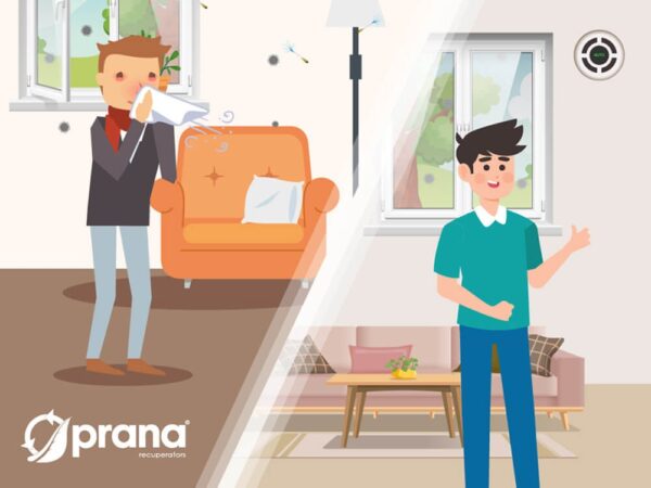 PRANA 200C Premium Plus - Image 6